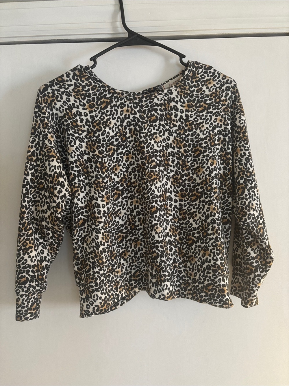 Buckle Leopard Print Crewneck Sweatshirt in Brown, Black, and Cream